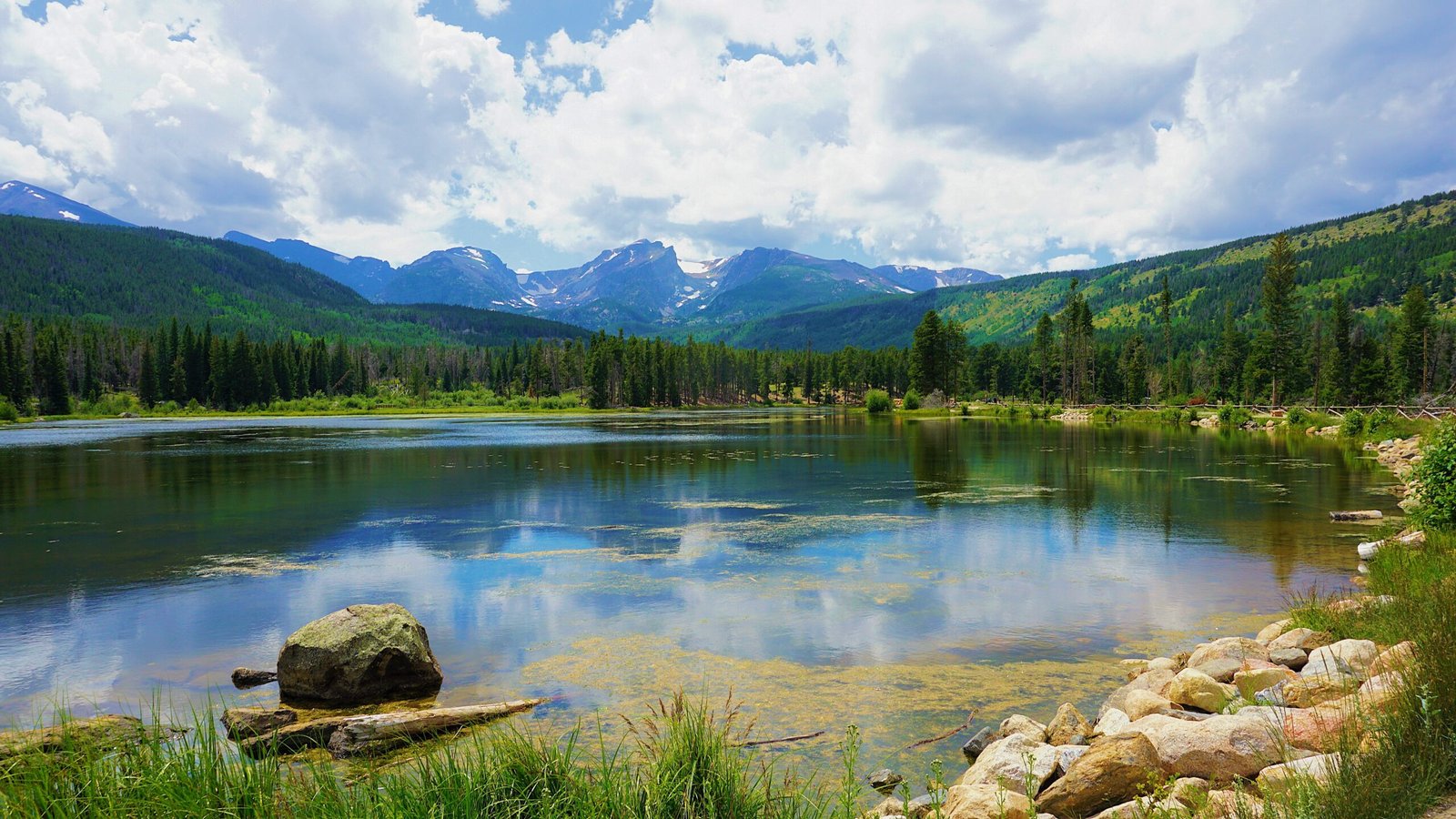 Rocky Mountain in Denver Colorado